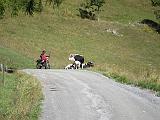 Colle delle Finestre e Assietta - 012